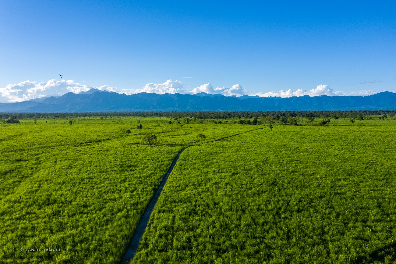 Manas National Park Landscape