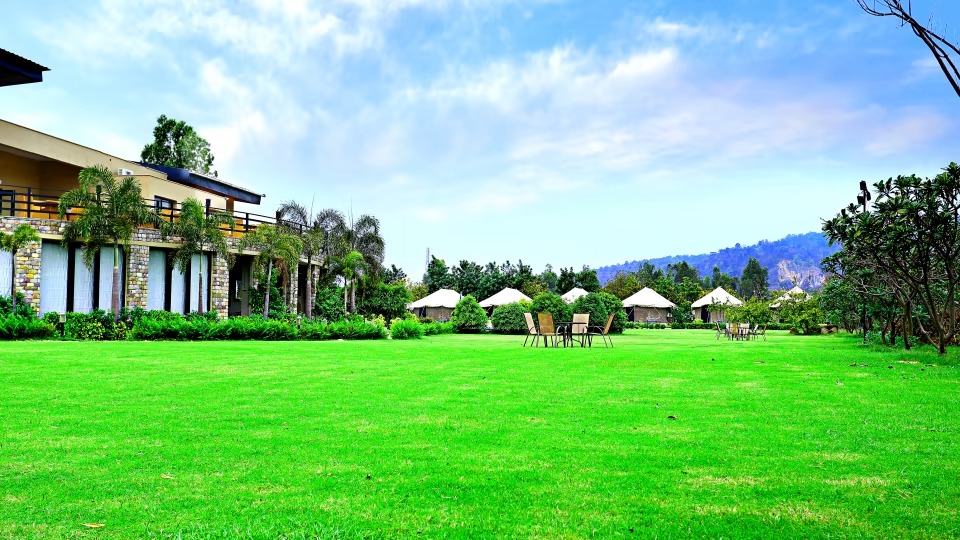 Golden Tusk Swimming Pool