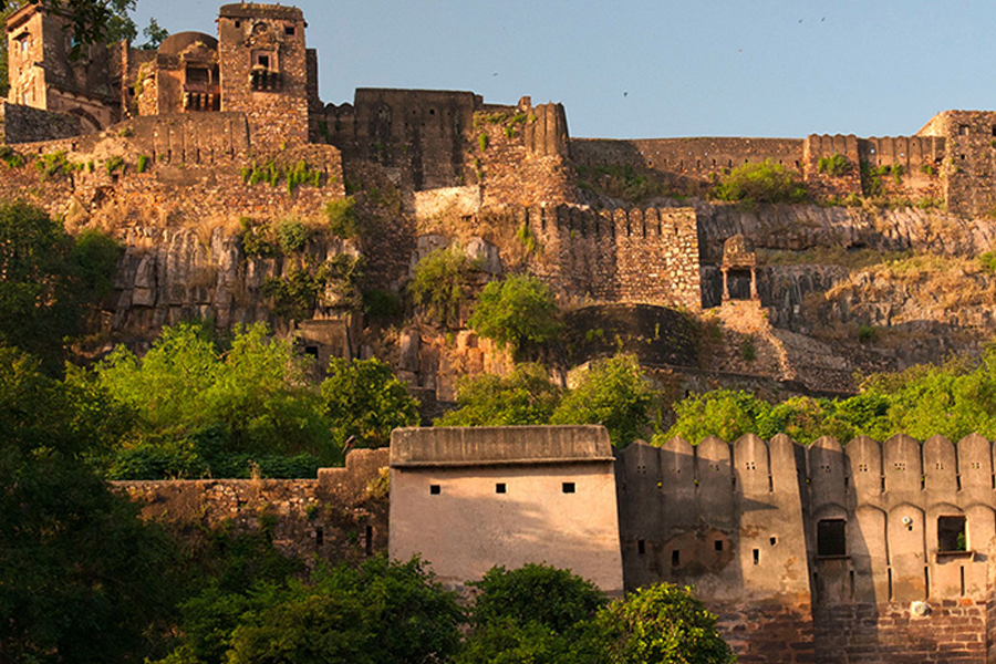 Jungle Cave Ranthambore