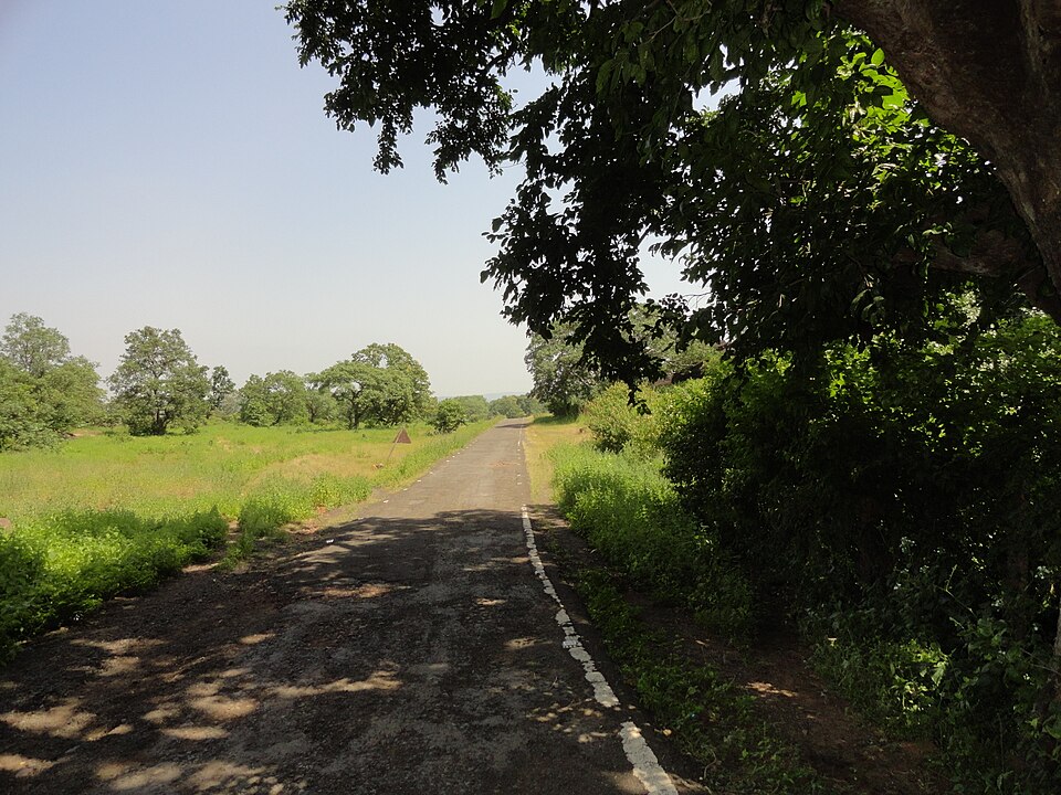 Ratapani Jungle Track