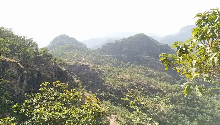 Veerangana Durgavati Forest Road