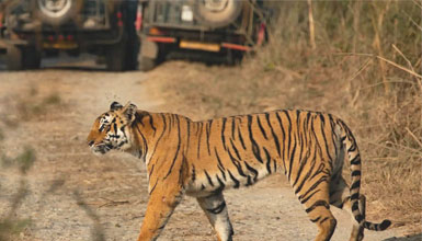 Nagzira Reserve Landscape