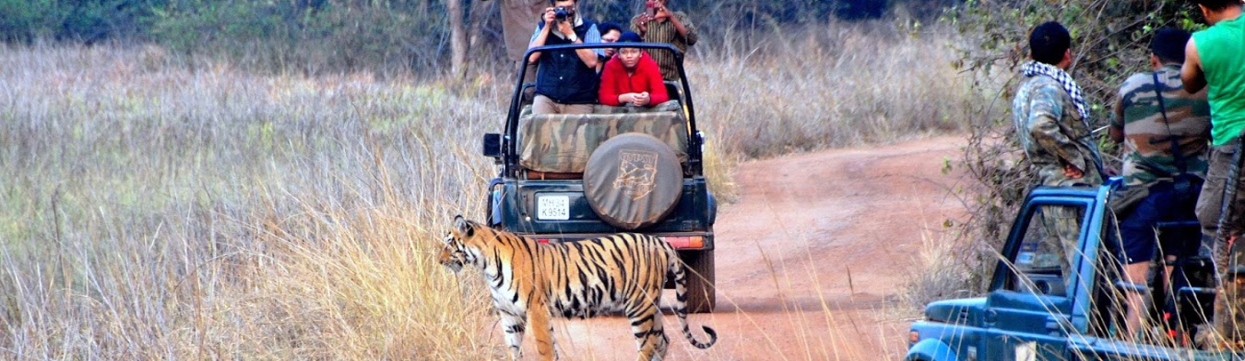 Tadoba National Park