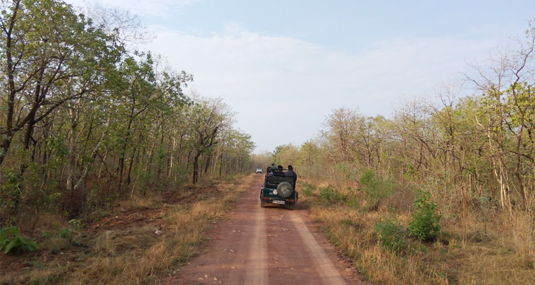 Umred Reserve Landscape