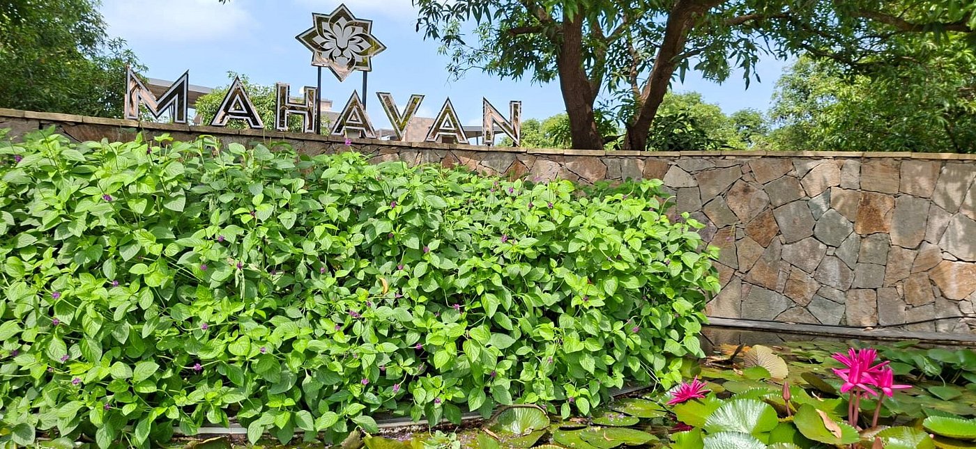 Mahavan Resort