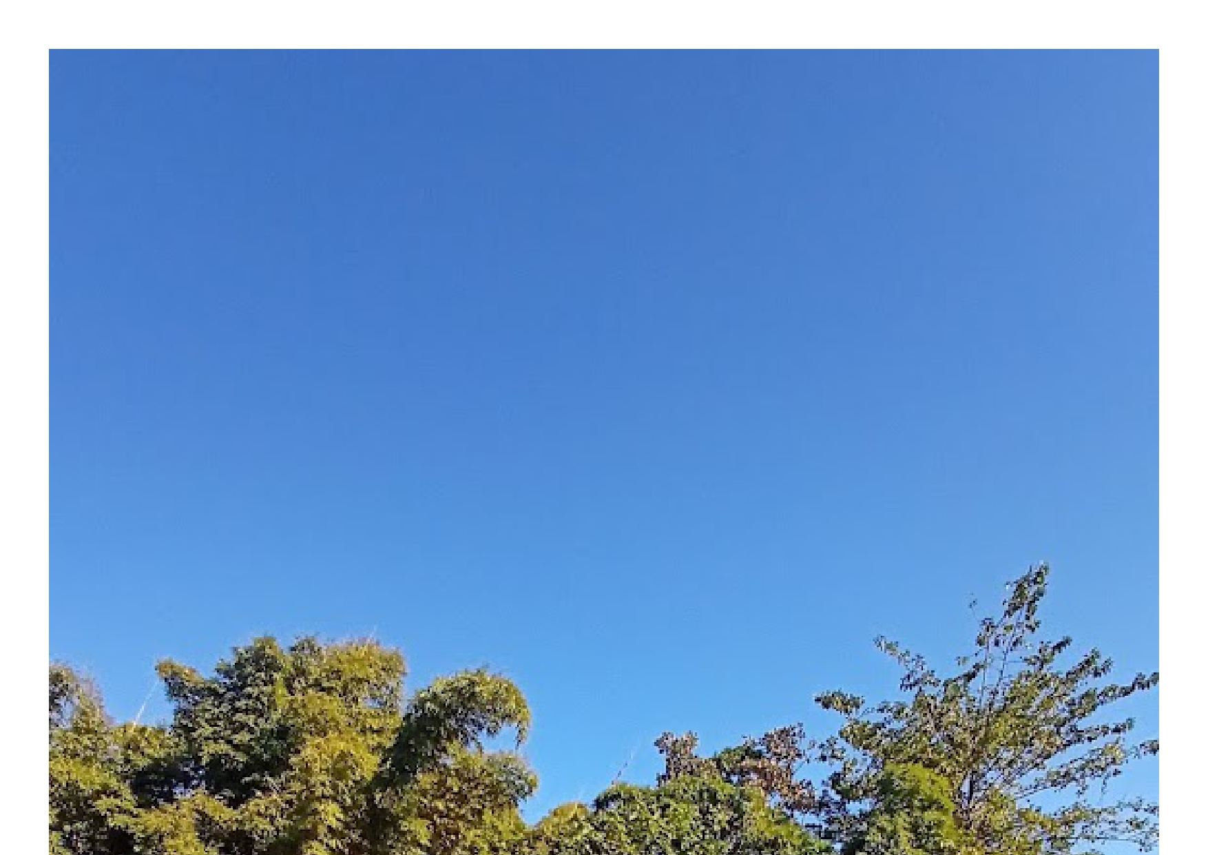 Resort Swimming Pool