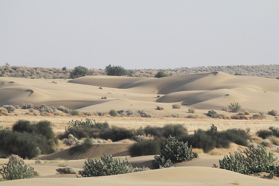 Thar Desert Landscape