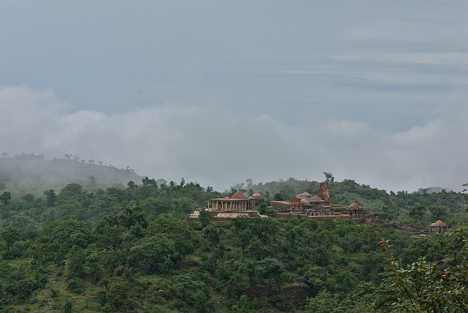 Indian Wolf in Kumbhalgarh