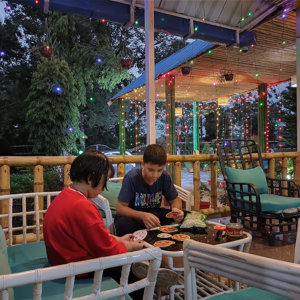 Forest View from Balcony