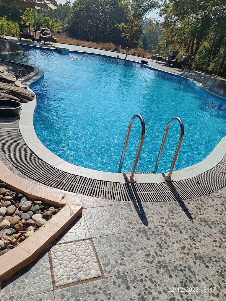 Infinity Pool with Forest View