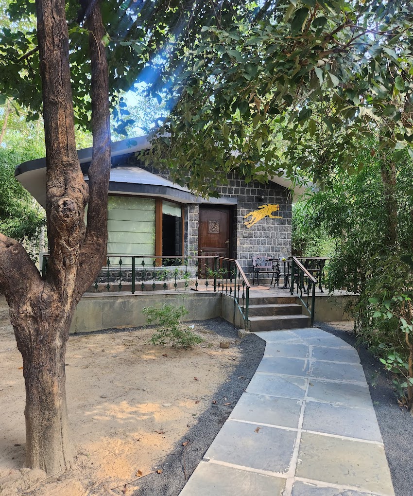 Expert Guided Safari