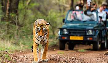 Dudhwa National Park