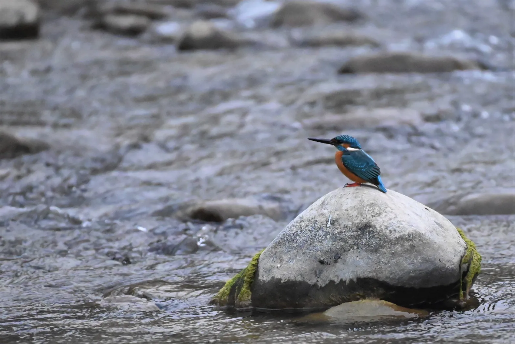Nandhaur Safari Landscape