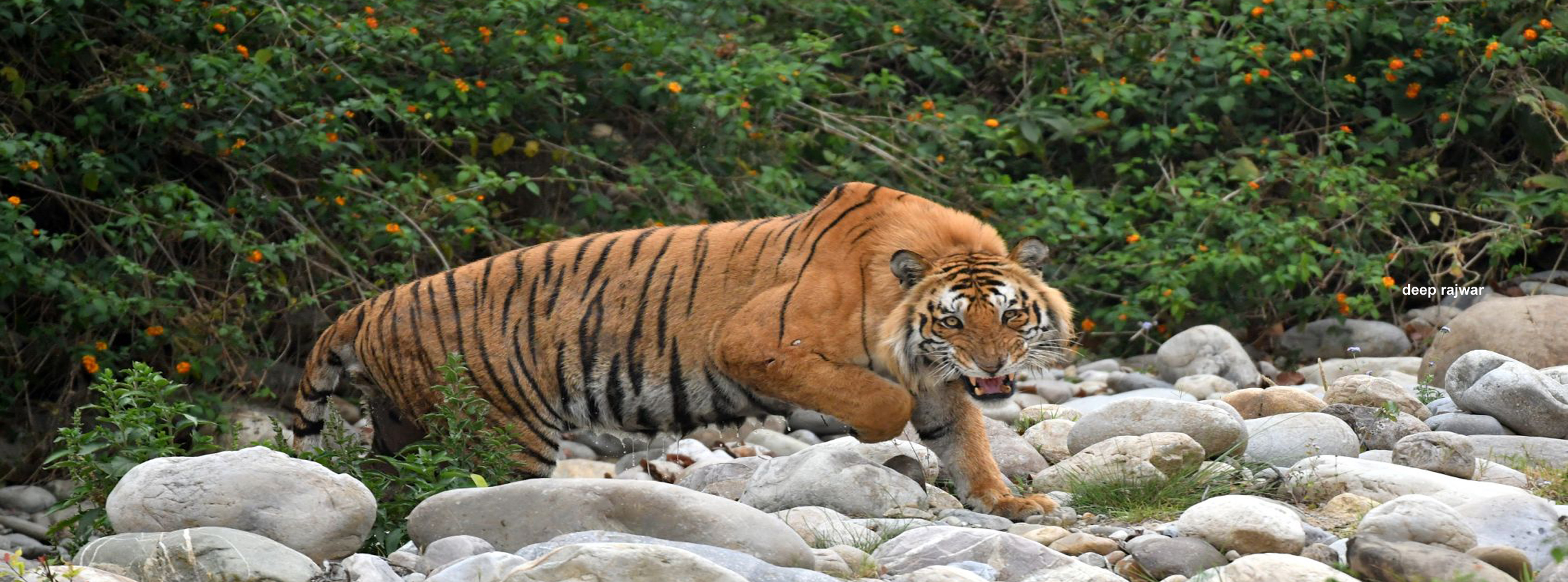 Pawalgarh Nature Walk