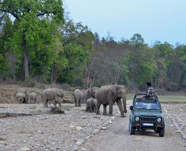 Rajaji National Park
