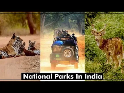 National Park Entry Rules in India 2026: Guidelines Every Tourist Must Know